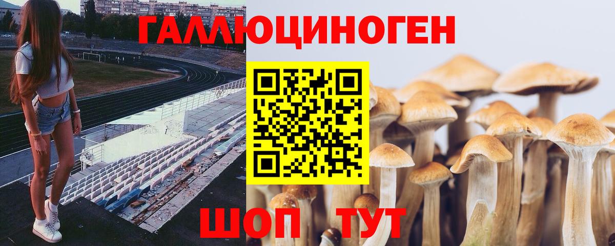 Галлюциногенные грибы GOLDEN TEACHER Ангарск